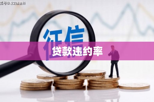 南涧贷款违约率