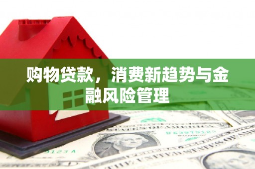 南涧购物贷款，消费新趋势与金融风险管理