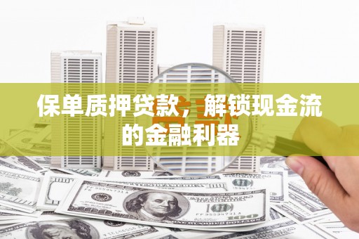 南涧保单质押贷款，解锁现金流的金融利器