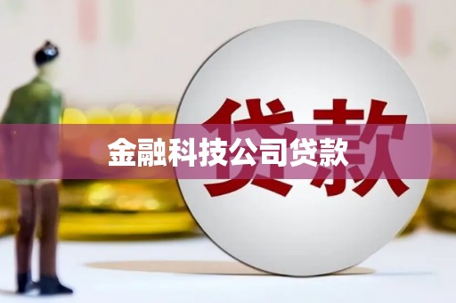 南涧金融科技公司贷款
