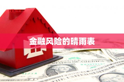 南涧金融风险的晴雨表