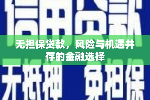 南涧无担保贷款，风险与机遇并存的金融选择