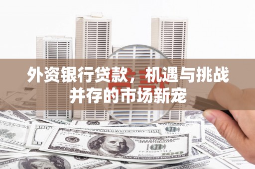 南涧外资银行贷款，机遇与挑战并存的市场新宠