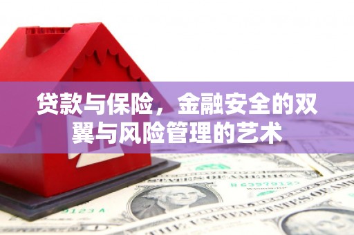 南涧贷款与保险，金融安全的双翼与风险管理的艺术