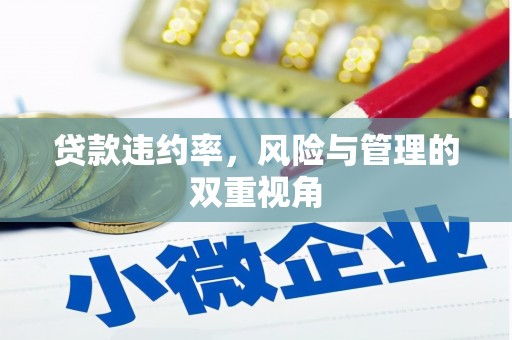 南涧贷款违约率，风险与管理的双重视角