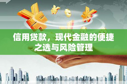 南涧信用贷款，现代金融的便捷之选与风险管理