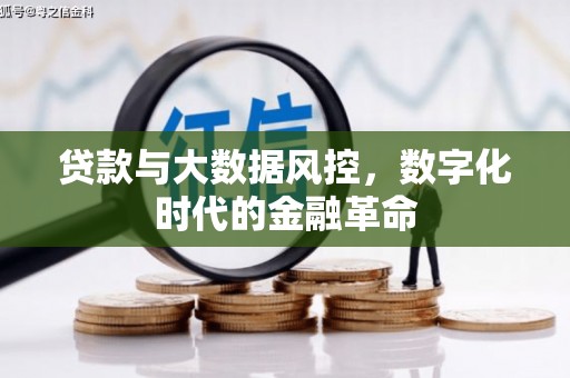 南涧贷款与大数据风控，数字化时代的金融革命