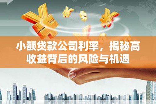 南涧小额贷款公司利率，揭秘高收益背后的风险与机遇
