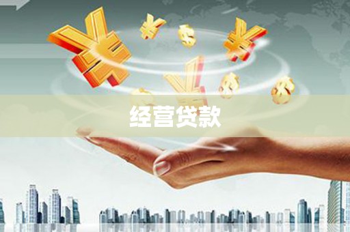 南涧经营贷款
