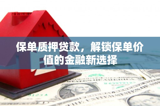 南涧保单质押贷款，解锁保单价值的金融新选择