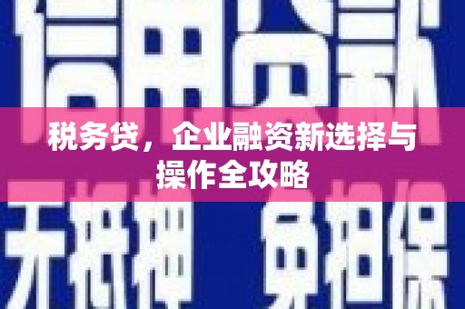 南涧税务贷，企业融资新选择与操作全攻略