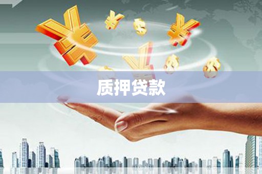 南涧质押贷款