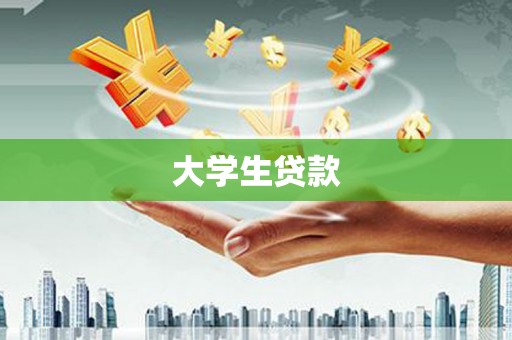 南涧大学生贷款