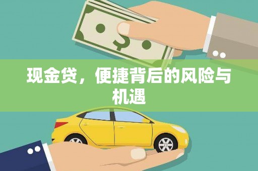 南涧现金贷，便捷背后的风险与机遇