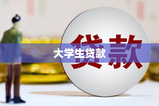 南涧大学生贷款