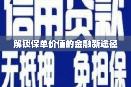 南涧解锁保单价值的金融新途径