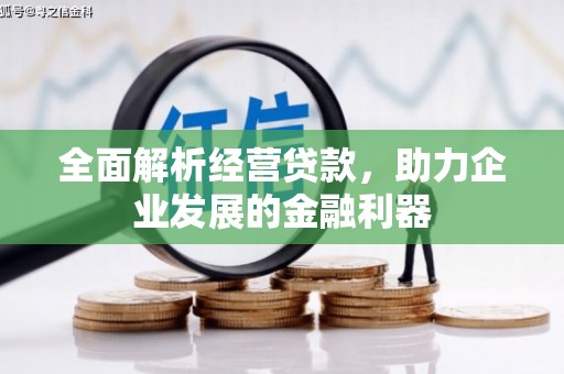 南涧全面解析经营贷款，助力企业发展的金融利器