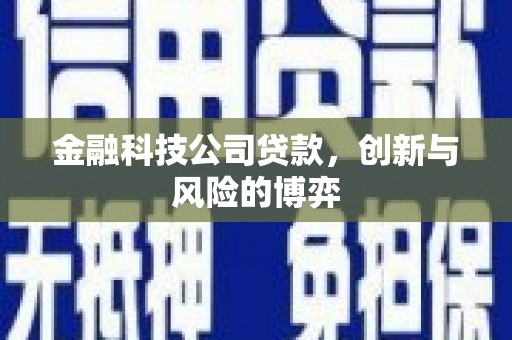 南涧金融科技公司贷款，创新与风险的博弈