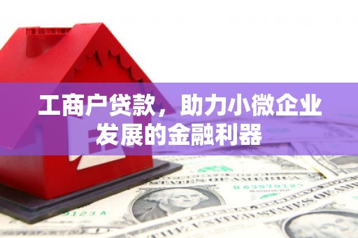 南涧工商户贷款，助力小微企业发展的金融利器