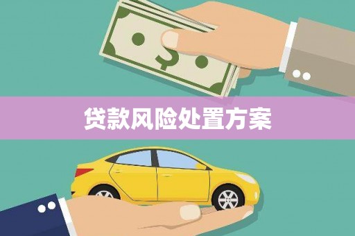 南涧贷款风险处置方案