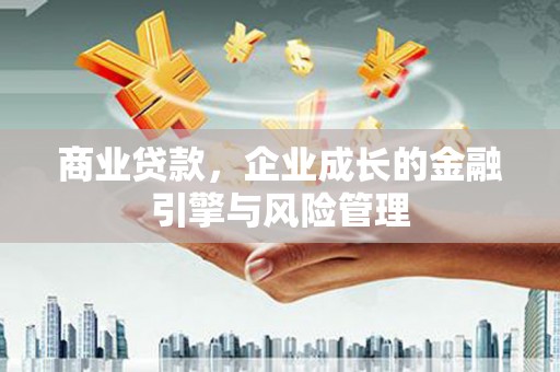 南涧商业贷款，企业成长的金融引擎与风险管理