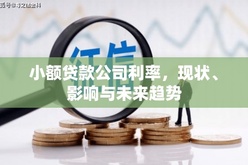 南涧小额贷款公司利率，现状、影响与未来趋势