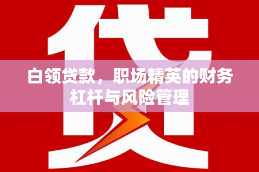 南涧白领贷款，职场精英的财务杠杆与风险管理