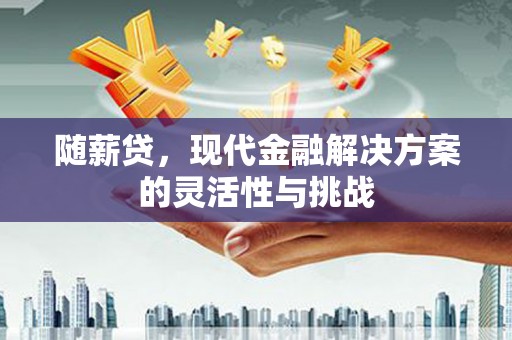 南涧随薪贷，现代金融解决方案的灵活性与挑战