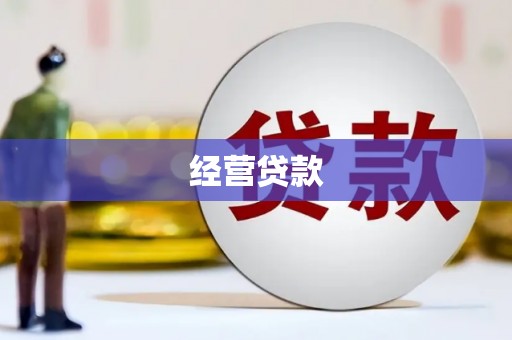 南涧经营贷款