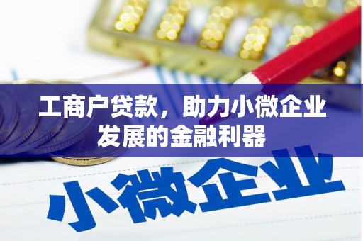 南涧工商户贷款，助力小微企业发展的金融利器