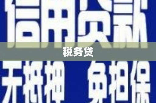南涧税务贷