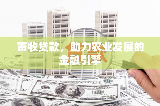南涧畜牧贷款，助力农业发展的金融引擎