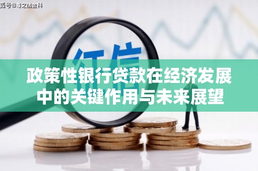 南涧政策性银行贷款在经济发展中的关键作用与未来展望