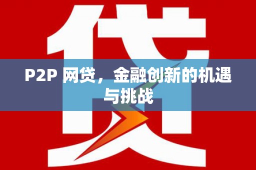 南涧P2P 网贷，金融创新的机遇与挑战