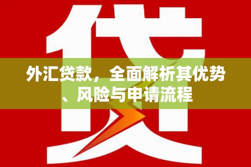 南涧外汇贷款，全面解析其优势、风险与申请流程
