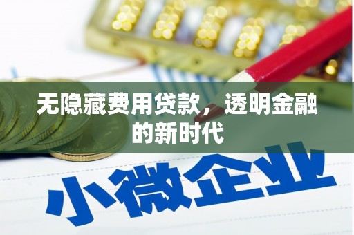 南涧无隐藏费用贷款，透明金融的新时代