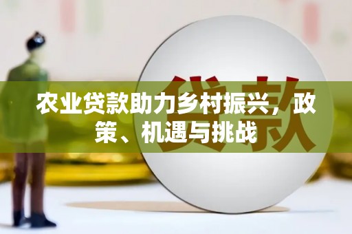 南涧农业贷款助力乡村振兴，政策、机遇与挑战