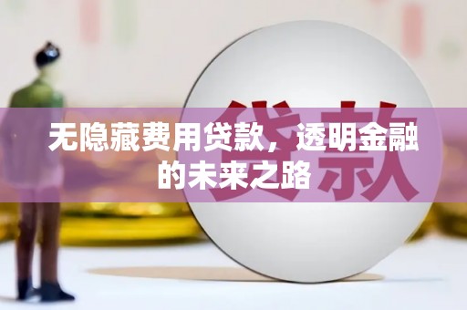 南涧无隐藏费用贷款，透明金融的未来之路