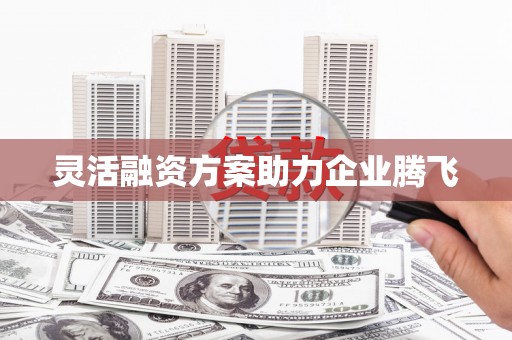南涧灵活融资方案助力企业腾飞