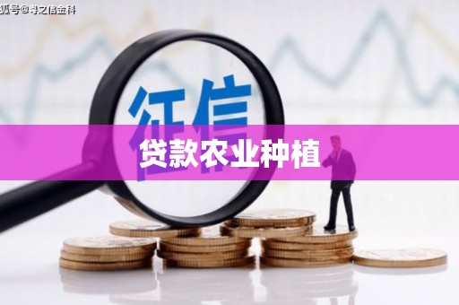南涧贷款农业种植