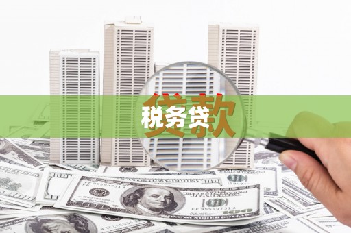 南涧税务贷