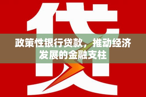 南涧政策性银行贷款，推动经济发展的金融支柱