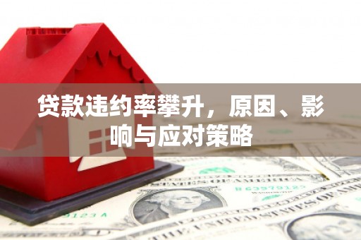 南涧贷款违约率攀升，原因、影响与应对策略