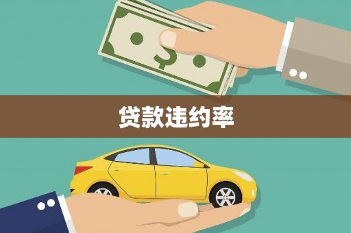 南涧贷款违约率