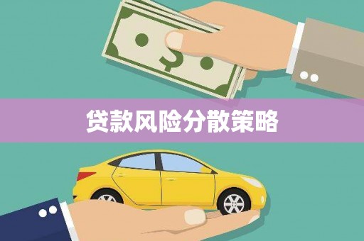 南涧贷款风险分散策略