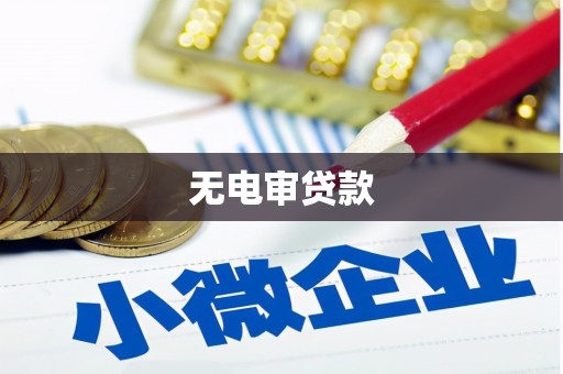 南涧无电审贷款