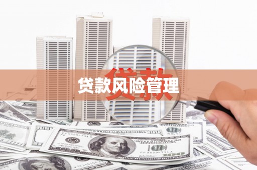 南涧贷款风险管理