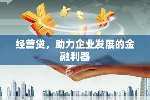 南涧经营贷，助力企业发展的金融利器