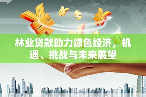 南涧林业贷款助力绿色经济，机遇、挑战与未来展望
