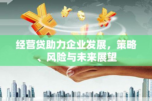 南涧经营贷助力企业发展，策略、风险与未来展望